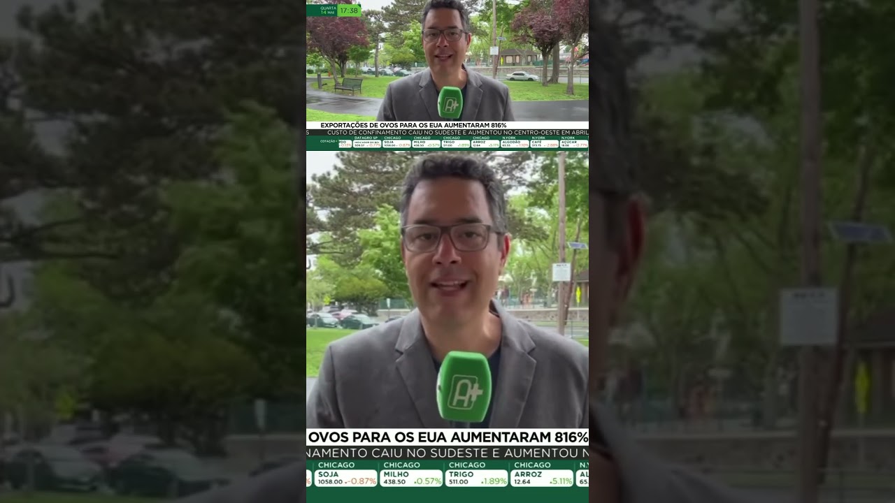 Exportação de ovos para os EUA aumentaram 816%