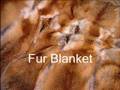 Red Fox Fur Blanket