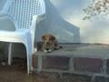 videos de vroeg opstaan_0001.wmv