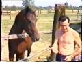 videos de IN CAMPAGNA CON RENZO DONZELLI-VALERIO FRATI-LUCIA-SIMONA-AGIDE E PAOLO-1998-
