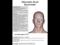 Obicularis Oculi Trigger Points Obicularis Oculi Trigger Points