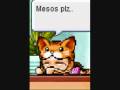 videos de Cher wants a cat