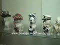 Dogs products food royal palm beach low prices grooming pet