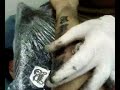 mon-tatouage.html