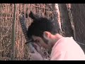 Samurai%20Jack%20Movie%20Trailer