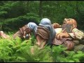 De Efteling - Parkvideo 2007 Parkengids.nl