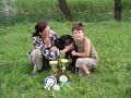 Ukmerge dog Show