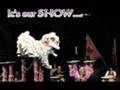 HK Cheung Keung photo film 香港張強 (Revised)
