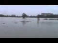 Hoogwater van de Maas in Vierlingsbeek en Groeningen