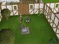 runescape legends clan!