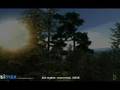 Simax Landscapes