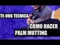 TE-006 PALM MUTING, MUTEADO PERCUSIVO