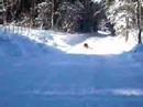 Ski bunda no fripe Ski bunda no fripe