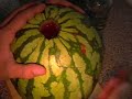 vodka watermelon reloaded
