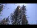 Climate Change and Wildfires