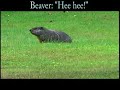 Rama drums as his neighbors eat raw food