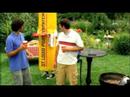 St. Louis Post Dispatch - BBQ