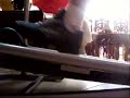 GAIT ANALYSIS 2 Sideview Slow Mo