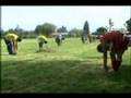 Pretemporada Pelota de Trapo 2008