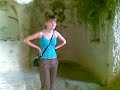Troica