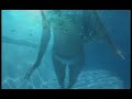 aqualise featuring juliet russell
wppk (vocal version)
music by: nicolas bulostin vocals & lyrics by: juliet russell produced, arranged & mixed by: nicolas bulostin
www.myspace.com/nicolasbulostin  published by: boogy one publishing  production by: aquamotion film & tv www.aquamotion.tv  
underwater talent: aquawoman, stefanie voigt  
underwater camera: stefanie voigt (ocean) stan stewart (pool)  
editing by: sub:line, christian felder www.subvisions.eu   

copyright 2008 - all rights reserved video: aquamotion film & tv production music: aqualise�2008, grape records music limited  (p) 2008 grape records music limited myspace.com/aqualise - www.aqualise.com
licensed courtesy grape records music limited (myspace.com/nicolasbulostin) for licensing contact : www.myspace.com/aqualise

unauthorized reproduction or distribution is prohibited. 


aqualise, wppk, aquamotion, stefanie voigt, aquawoman, music video, underwater, nicolas bulostin, breathold, apnoe