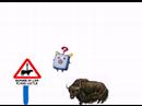 Low Flying Cattle