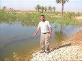 iraqi poetry الشاعر عمار الوائلي