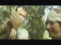 israel tv-uri tesler -אסון חברתי