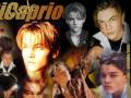 videos de Leonardo Di Caprio