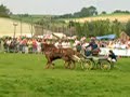 F�te des moissons St Jans Cappel