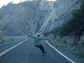Tioga Pass Longboard Tioga Pass Longboard