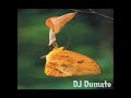 DJ Dumato - namata reggae
