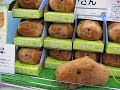 kapibara