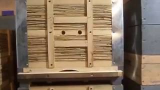 Ульи из камыша Ульи из камыша