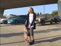 Pig Intro