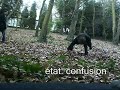 FF TaX - Battle in the wood