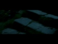 Lo Svarione degli Anelli - puf....e sparisco