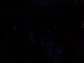 Coki & Loefah (Phonofestival 08 part3)