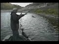 largemouth