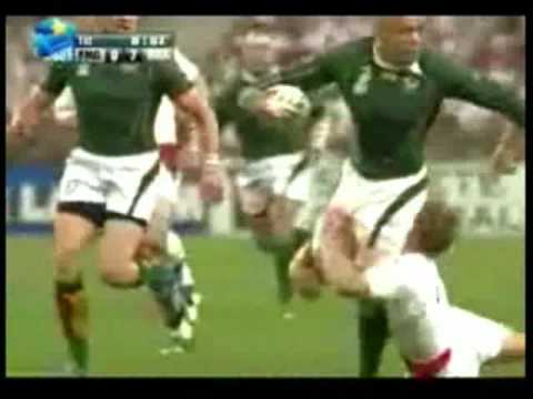 Cheetah vs. Springbok – Leon Schuster song