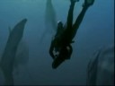 Endless Oceans: Monsters of the Deep!