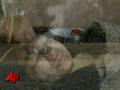 Acid Attacks Scare Afghan Schoolgirls