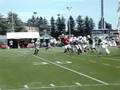 Favres erster Jets-Touchdown