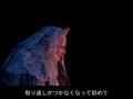 Elisabeth Wien 15 - Bellaria & Rastlose Jahre - ベラリア&放浪の歳月