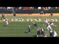 Jordan Matthews vs Florida & Arkansas (2011)
