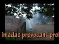 Queimadas urbanas