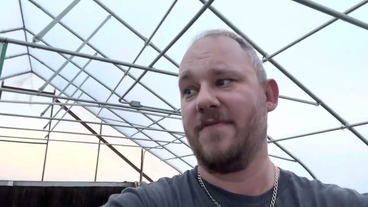 Grow a giant pumpkin - 9/20 Patch Update