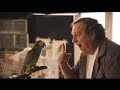 Comercial QueBarato! em 30 segundos (nova versão) Comercial QueBarato! em 30 segundos (nova versão)