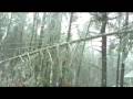 Gnarly Video