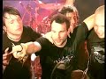 Neaera limited live DVD - Walls instead of Bridges